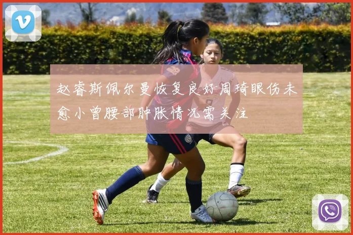 赵睿斯佩尔曼恢复良好周琦眼伤未愈小曾腰部肿胀情况需关注