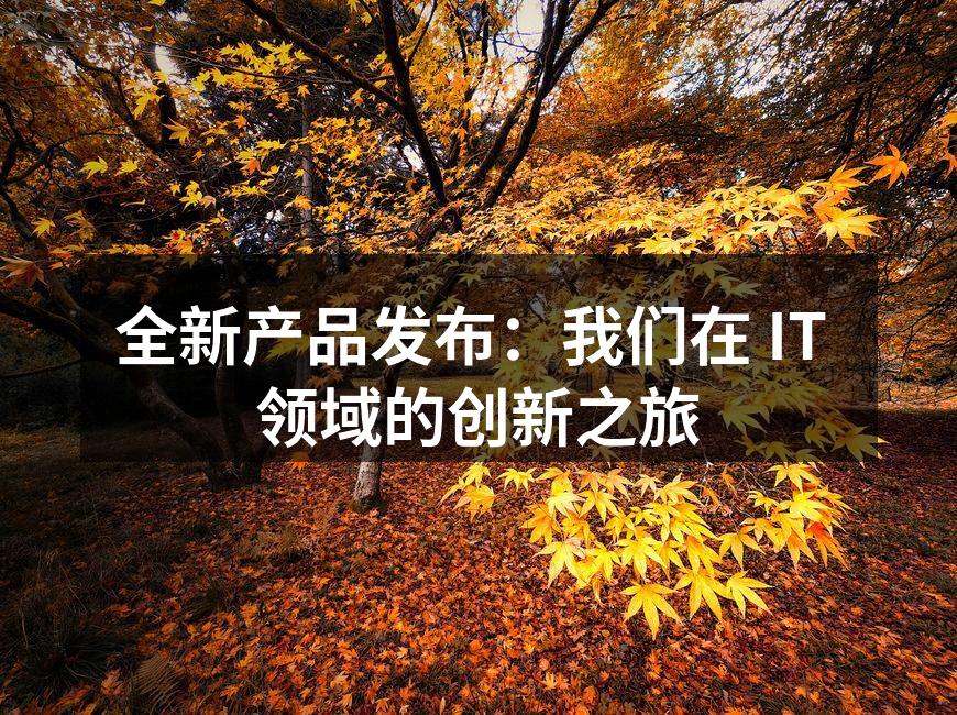 全新产品发布:我们在 IT 领域的创新之旅
